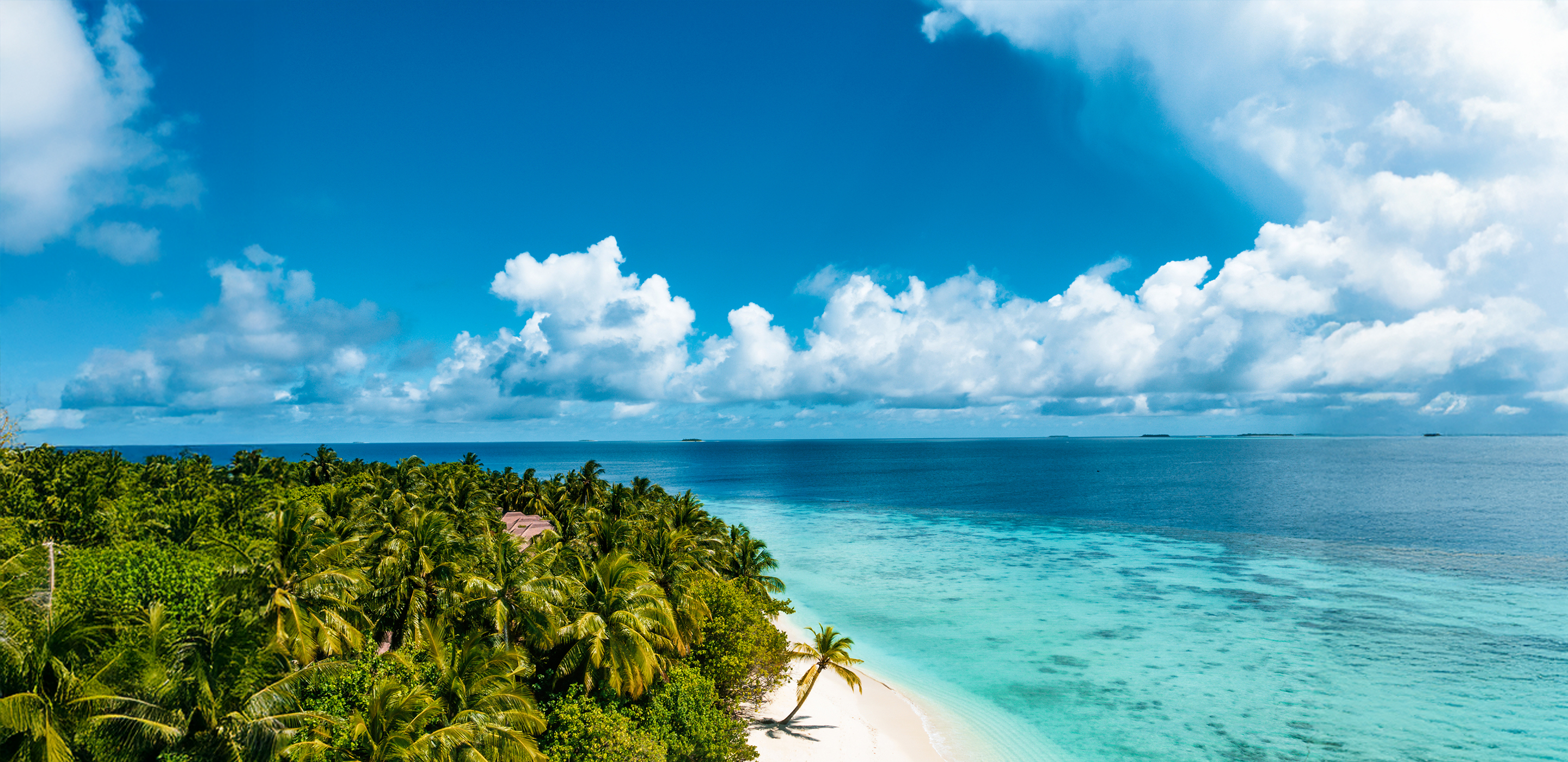 Tropical beach with turquoise waters.